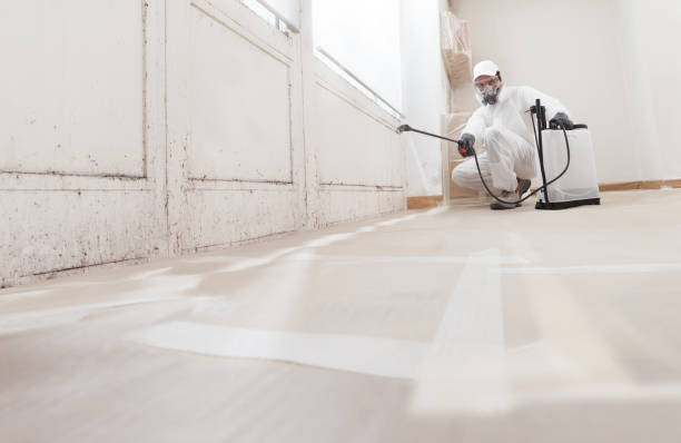 24/7 Emergency Mold Cleanup experts in Clifton, TN