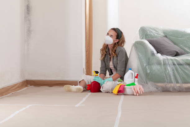 Reliable Mold Cleanup contractor in Clifton, TN by Cheap Mold Removal